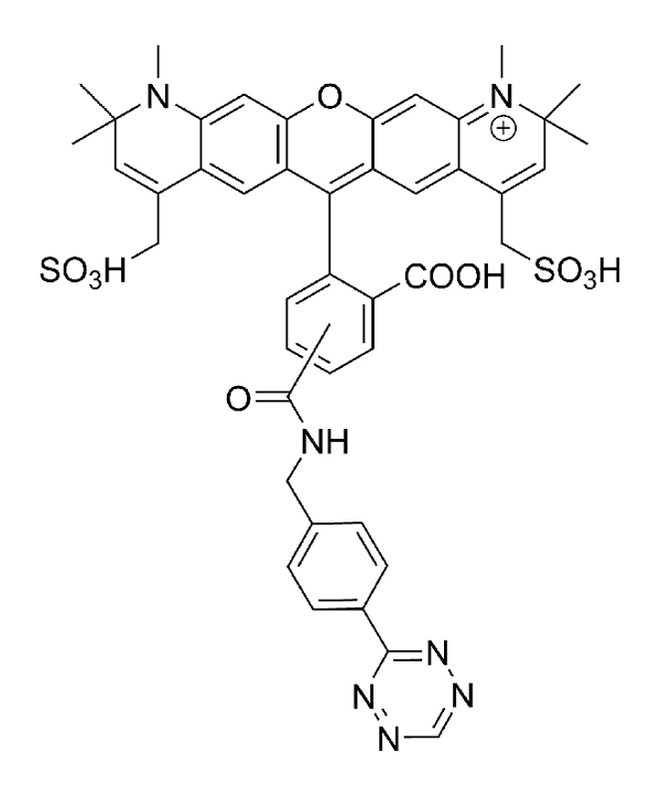 CCT 1364 Structure