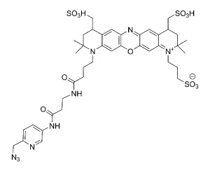 CCT- 503 Structure