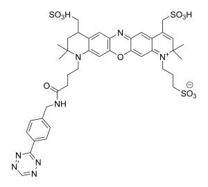 CCT 1505 Structure