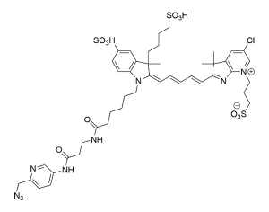 CCT 1511 Structure