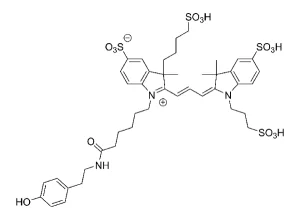 CCT 1540 Structure