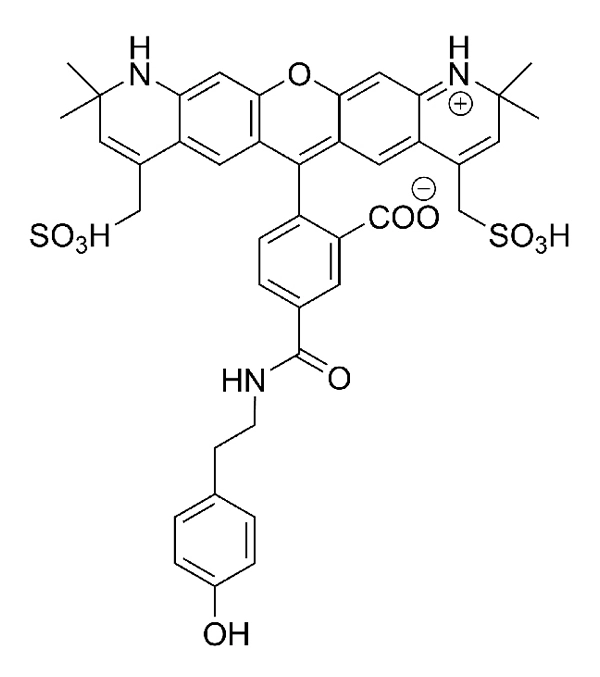 CCT 1541 Structure