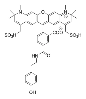 CCT 1542 Structure