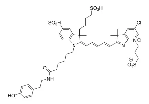 CCT 1544 Structure