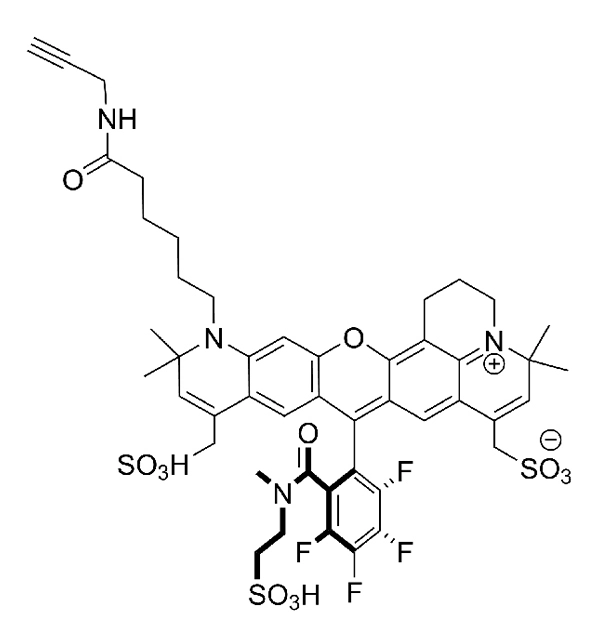 CCT 1550 Structure