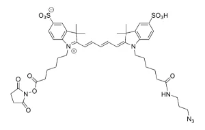 Cct Structure Cct Structure