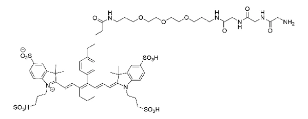 CCT 1579 Structure