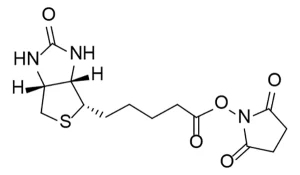 Cct B Structure Cct B Structure