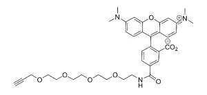 Cct Ta Structure Cct Ta Structure