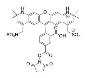 FP 1081 structure