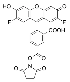 FP 1222 structure
