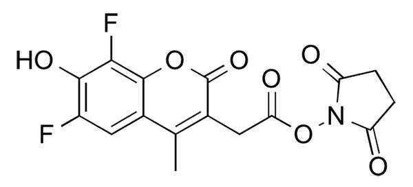 FP 1242 structure