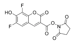 FP 1246 structure