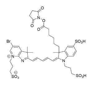 FP 1791 structure